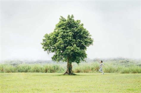 樹對人的好處